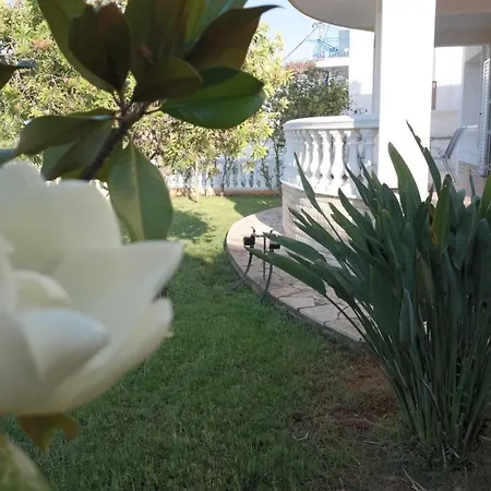 Kourkoumelata Metaxata